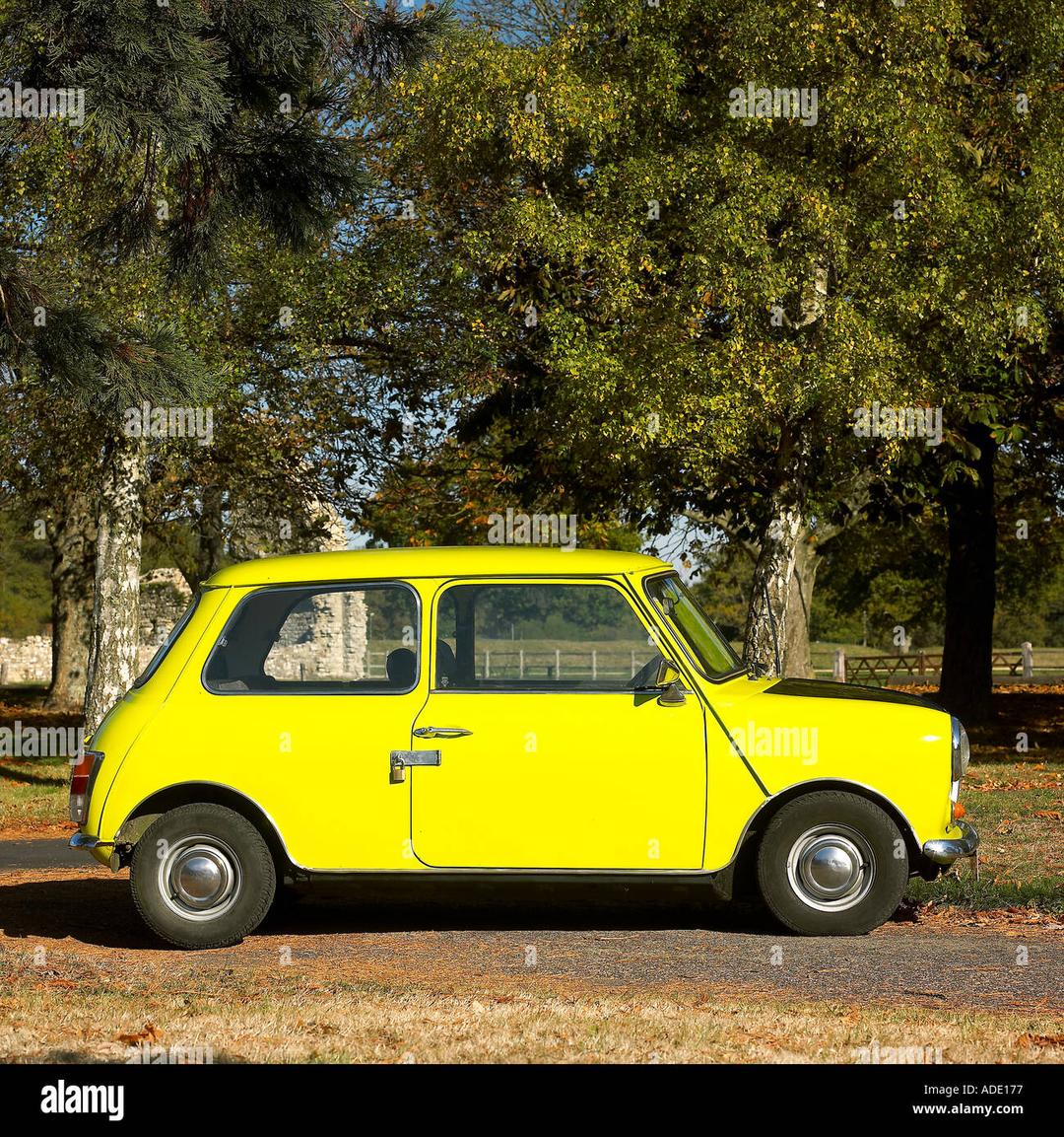 ROVER ZH 25 2021forrent